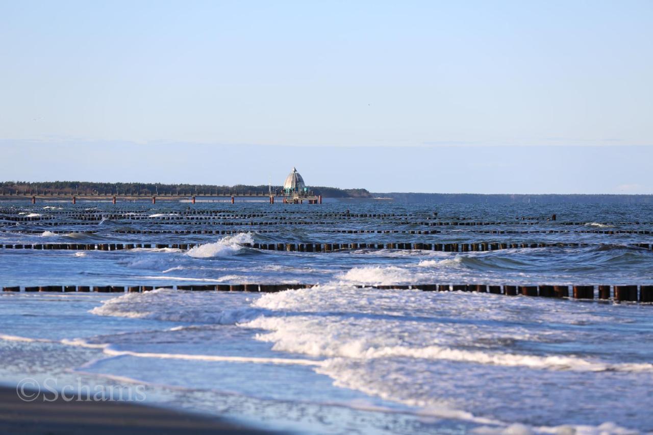 Ostseelagune Zingst, Exklusive Dhh, Strandnah, Sauna, Kamin, 3 Sz, 2 Baeder, Glasfaser, Haustierfrei, Garten Mit Suedterrasse, E-Ladesaeule, 2 Stellplaetze, Strandkorb, Fahrradschuppen, Waschmaschine, Trockner, Nichtraucher Eksteriør billede