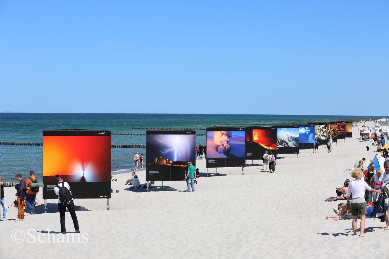 Ostseelagune Zingst, Exklusive Dhh, Strandnah, Sauna, Kamin, 3 Sz, 2 Baeder, Glasfaser, Haustierfrei, Garten Mit Suedterrasse, E-Ladesaeule, 2 Stellplaetze, Strandkorb, Fahrradschuppen, Waschmaschine, Trockner, Nichtraucher Eksteriør billede