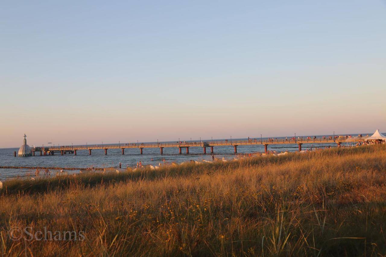 Ostseelagune Zingst, Exklusive Dhh, Strandnah, Sauna, Kamin, 3 Sz, 2 Baeder, Glasfaser, Haustierfrei, Garten Mit Suedterrasse, E-Ladesaeule, 2 Stellplaetze, Strandkorb, Fahrradschuppen, Waschmaschine, Trockner, Nichtraucher Eksteriør billede