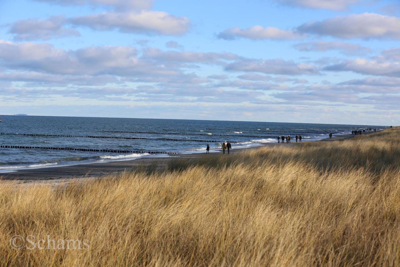 Ostseelagune Zingst, Exklusive Dhh, Strandnah, Sauna, Kamin, 3 Sz, 2 Baeder, Glasfaser, Haustierfrei, Garten Mit Suedterrasse, E-Ladesaeule, 2 Stellplaetze, Strandkorb, Fahrradschuppen, Waschmaschine, Trockner, Nichtraucher Eksteriør billede