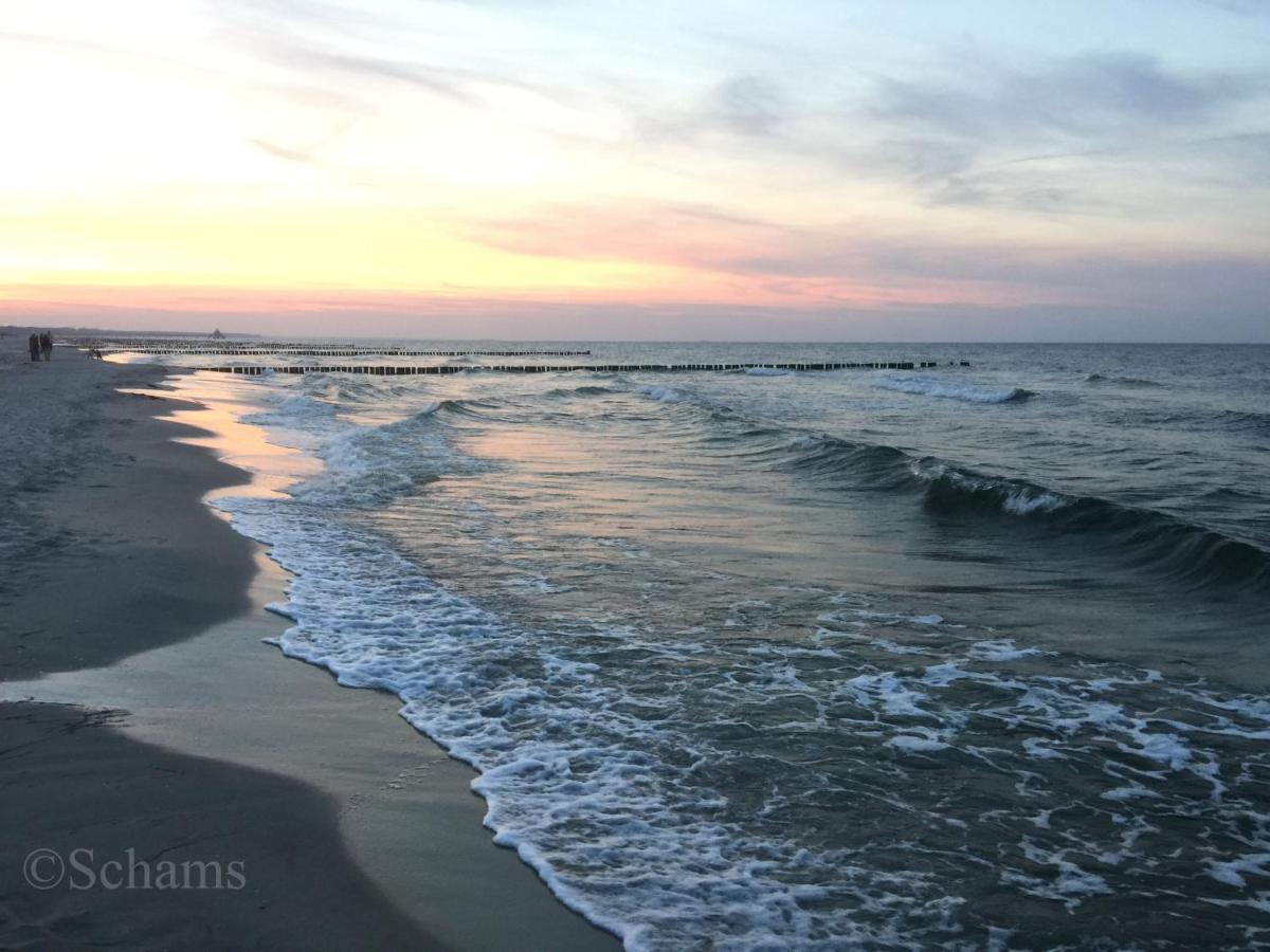 Ostseelagune Zingst, Exklusive Dhh, Strandnah, Sauna, Kamin, 3 Sz, 2 Baeder, Glasfaser, Haustierfrei, Garten Mit Suedterrasse, E-Ladesaeule, 2 Stellplaetze, Strandkorb, Fahrradschuppen, Waschmaschine, Trockner, Nichtraucher Eksteriør billede